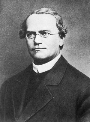 Gregor Mendel 2