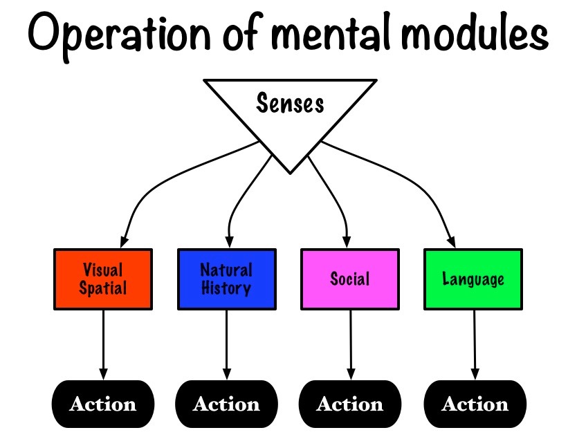 HighLevelMentalArchitecture