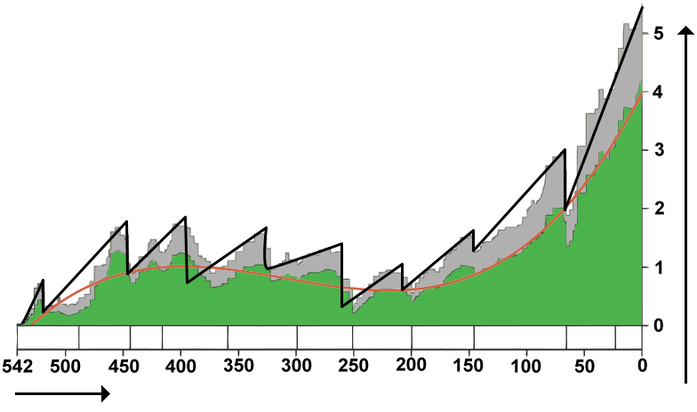 Phanerozoic biodiversity4